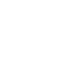 logo the store